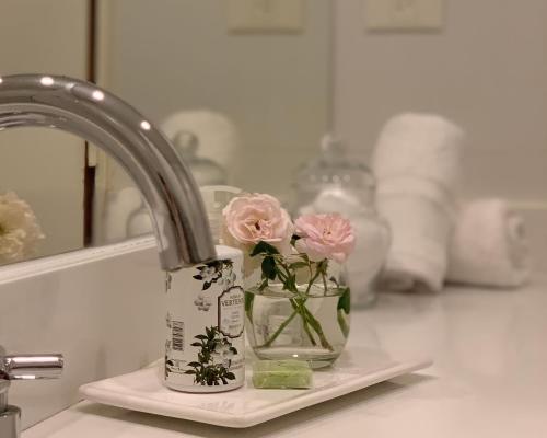 Soar Luxury Studio en el centro de Salta - image 3