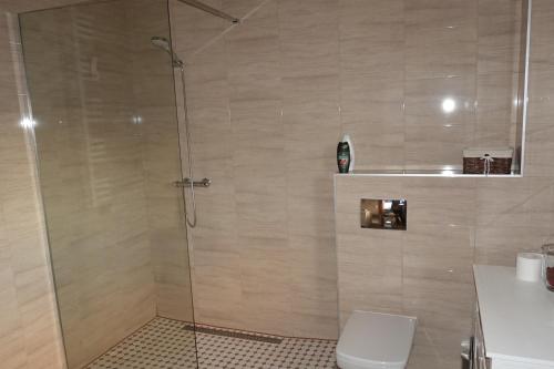 Willa Vita - Apartment z kominkiem i dużym tarasem, Sauna, Jacuzzi, Altana z Grill, z możliwością wynajmu dotakowych pokoi - Schönes Appartement mit Kamin und großer Terrasse, Sauna, Jacuzzi, Pavilion mit Grill und der Option zusätzliche Zimmer zu mieten