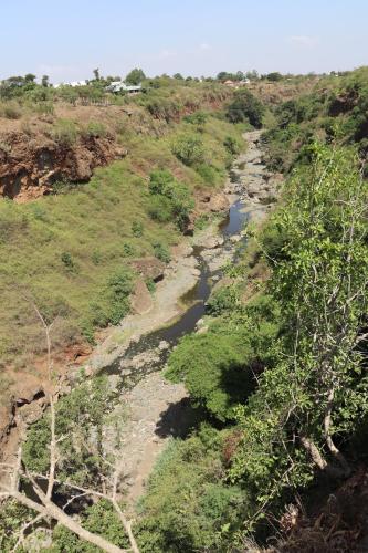 Themi View, Arusha (foto 3)