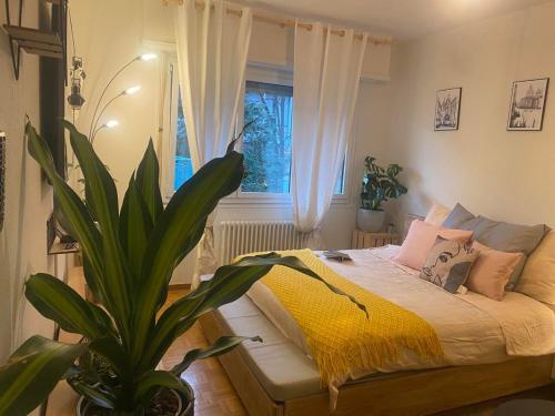  Stylish Lausanne Flats, Pension in Lausanne