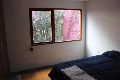 Casa Frida Coyoacan – Mexico City, ME