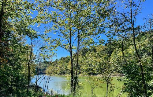 Tucky Cabin - Riverfront Getaway