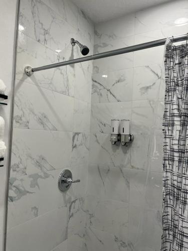 Incredible comfortable apartments near the airport and beaches in Tampa, USA