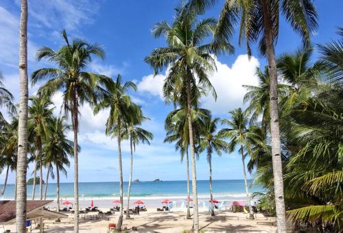 Nacpan Beach Glamping