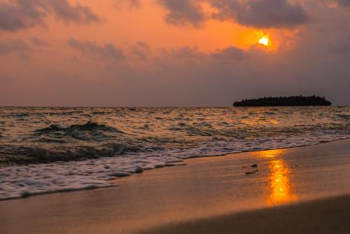 Brickwood Rasdhoo- Beach front Brickwood Rasdhoo- Beach front