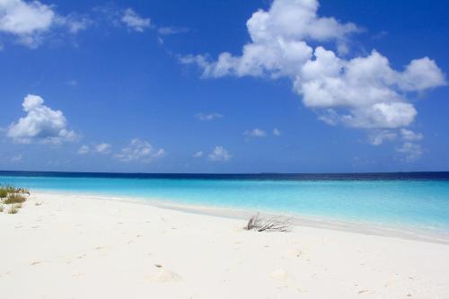 Brickwood Rasdhoo- Beach front Brickwood Rasdhoo- Beach front