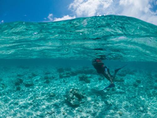Brickwood Rasdhoo- Beach front Brickwood Rasdhoo- Beach front