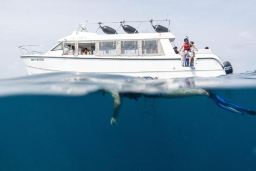 Brickwood Rasdhoo- Beach front Brickwood Rasdhoo- Beach front
