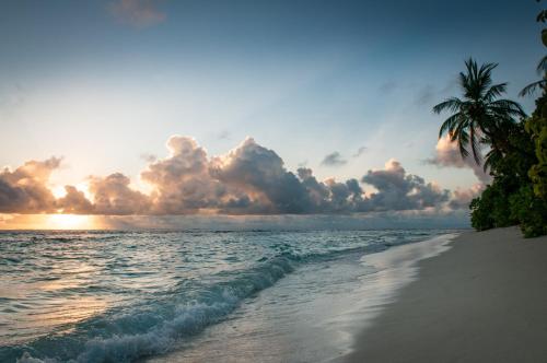 Brickwood Rasdhoo- Beach front Brickwood Rasdhoo- Beach front
