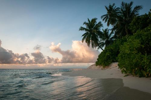 Brickwood Rasdhoo- Beach front Brickwood Rasdhoo- Beach front