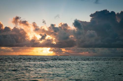 Brickwood Rasdhoo- Beach front Brickwood Rasdhoo- Beach front