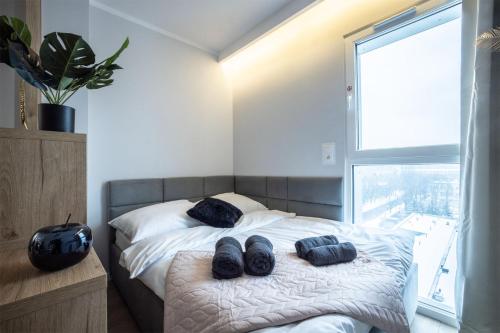 WiguryTower Apartaments 66'