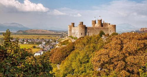 'The Cabin'. A cosy private & secure holiday home. in บัคลีย์บิสเทอร์เวสต์