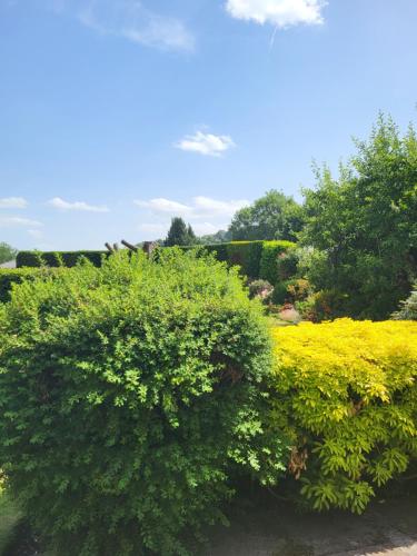 The Garden Rooms at Tannery House