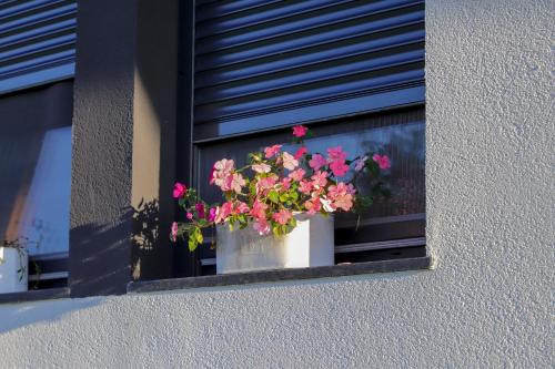 Apartment with Garden View image 7