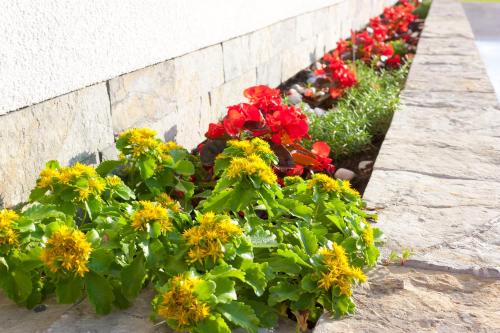 Apartment with Garden View image 10