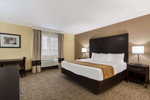 Comfort Inn - image 6