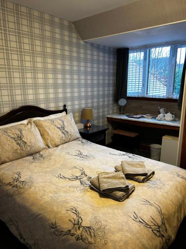 Acer Lodge Guest House, Edinburgh (fotografie 3)