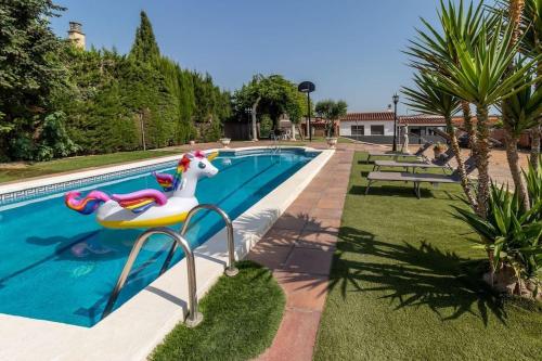 Casa rural con piscina, barbacoa, WIFI - Accommodation - Vilobí d'Onyar