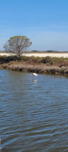 Hotel l'Etoile in 勒格羅－迪魯瓦