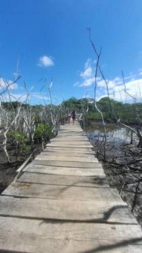 Apartamento Lapas en bosque de Avellanas