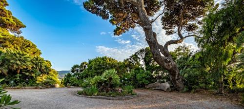 Palazzo Belmonte - image 2