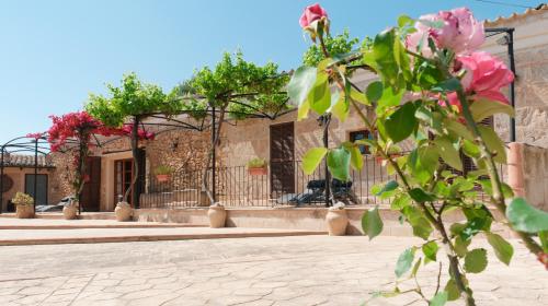 Agroturismo Son Samà - image 11