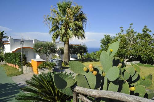 Poggio Aragosta Hotel & Spa - image 8