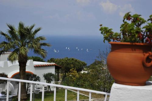 Poggio Aragosta Hotel & Spa - image 14