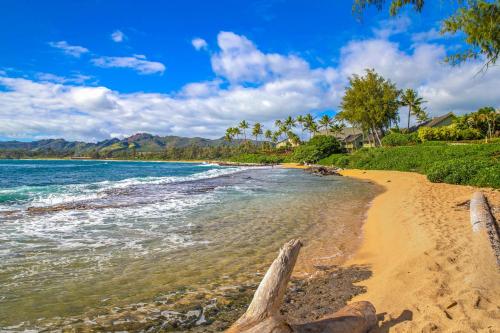 Islander on the Beach #232 - image 2
