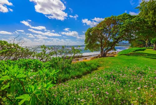 Islander on the Beach #232 - image 3
