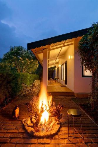 The Tamarillo in Elk Hills