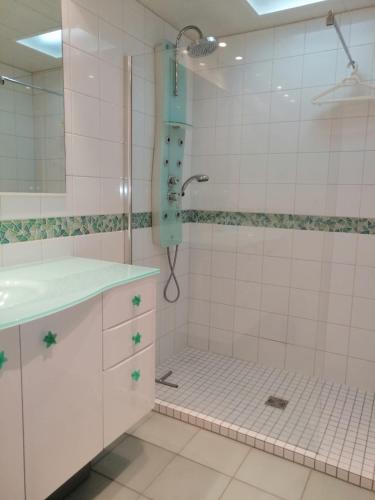 淋浴間, Le Camélia (Le Camelia) in 沃勒佩尼