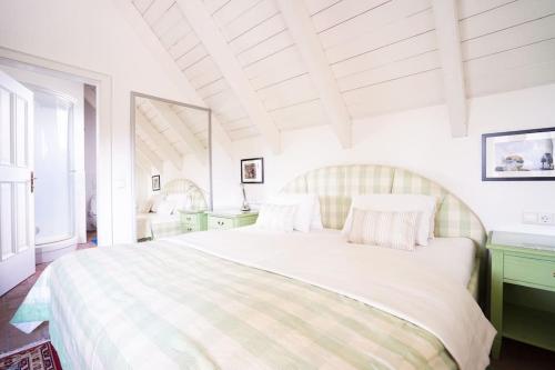  Wonderful Villa among the Vineyards in Palt