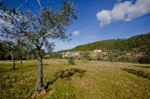 Xisto Sentido - image 5