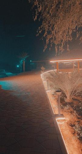 مزرعة السعادة للخيول(المدام) in Murquab