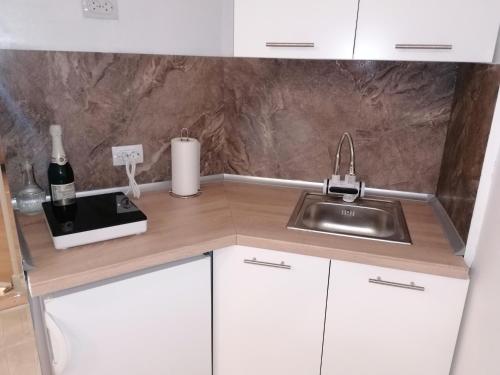 One-Bedroom Apartment room in Apartman Dunja S