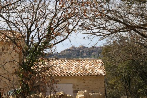 LA FERME DE LA HUPPE - image 13