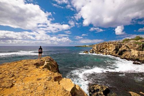 Kiahuna Lani at Poipu - image 14