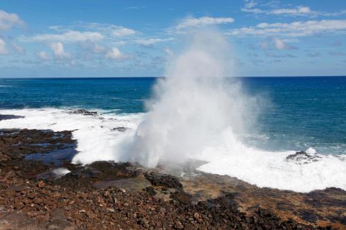 Kiahuna Lani at Poipu - image 11