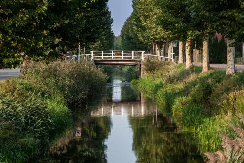 de minnetuin - image 12