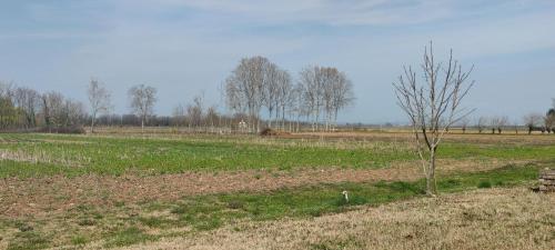  Posto Tenda per gli Alpini in 33036 Pantianicco
