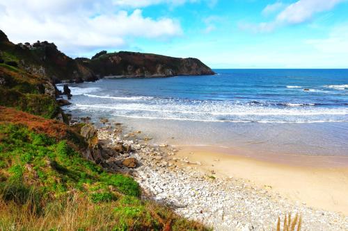 El Jilguero de Pechon El Jilguero de Pechon