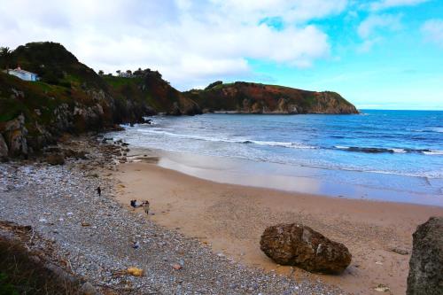 El Jilguero de Pechon El Jilguero de Pechon