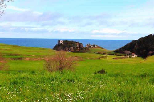 El Jilguero de Pechon El Jilguero de Pechon