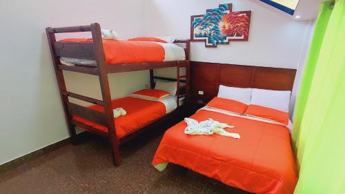 1 double bed, 1 bunk bed