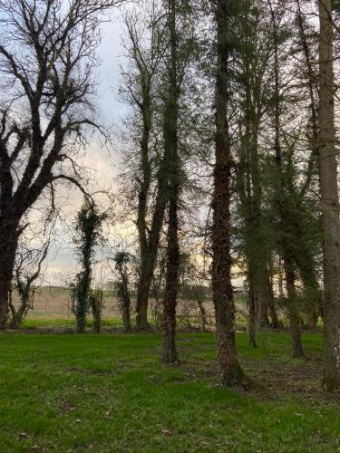 Kildare countryside pods