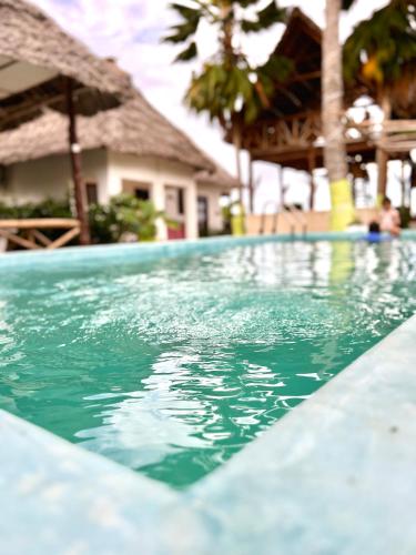 Jambiani White Sand Bungalows - 전망