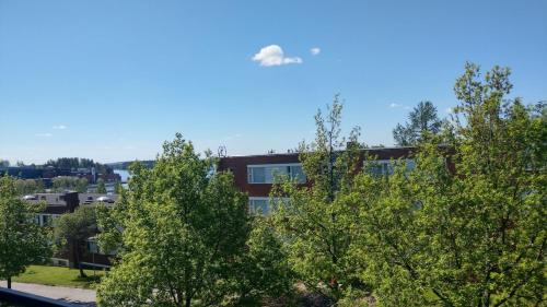 Surrounding environment, City Apartment Kauppakatu with Sauna in Iisalmi
