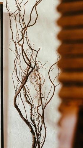 Hotel Sin Nombre - image 5